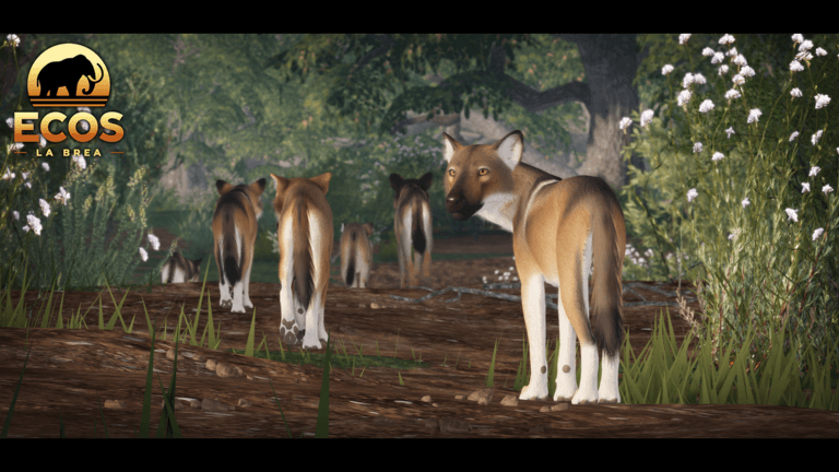 A dire wolf pauses to look back as its pack continues forward.