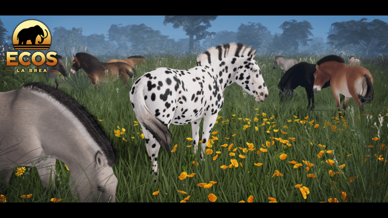 A black leopard horse standing amongst a herd.