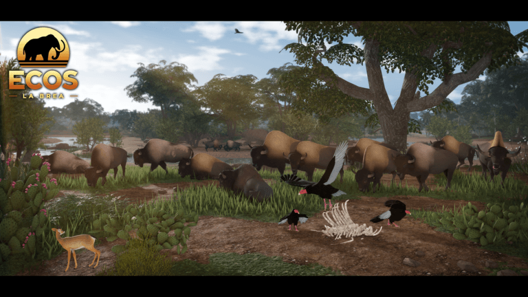 A herd of bison pass by a carcass being picked clean by vultures.